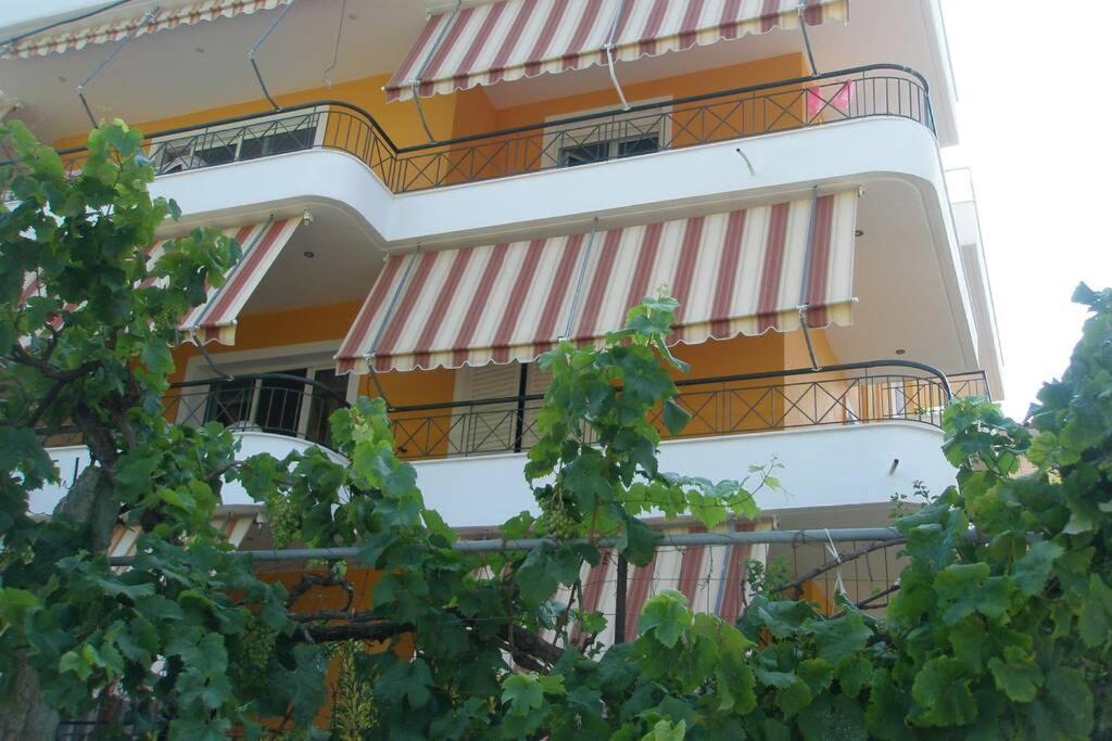Lina'S Apartment 希马拉 外观 照片